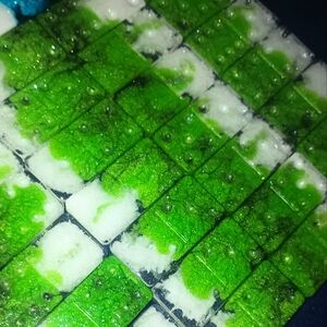 Rare green smokey swirl handmade resin dominoes